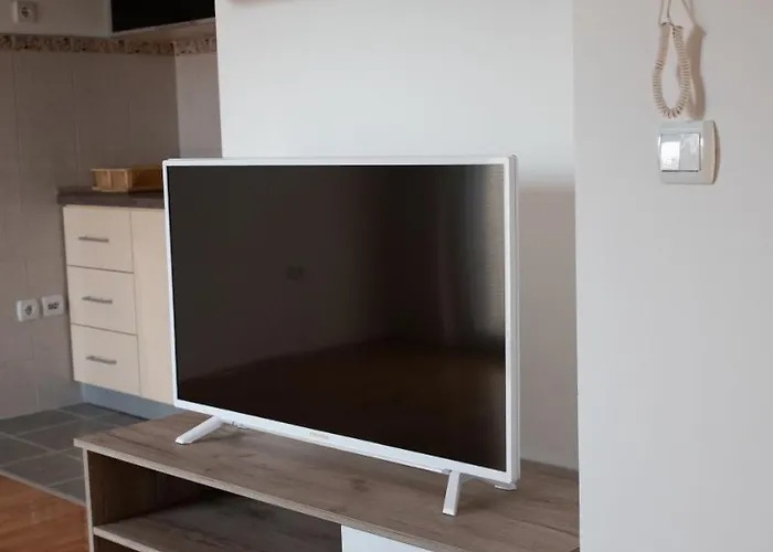 Lejlighed Family Zaječar